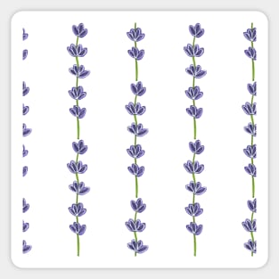 Lavender field Sticker